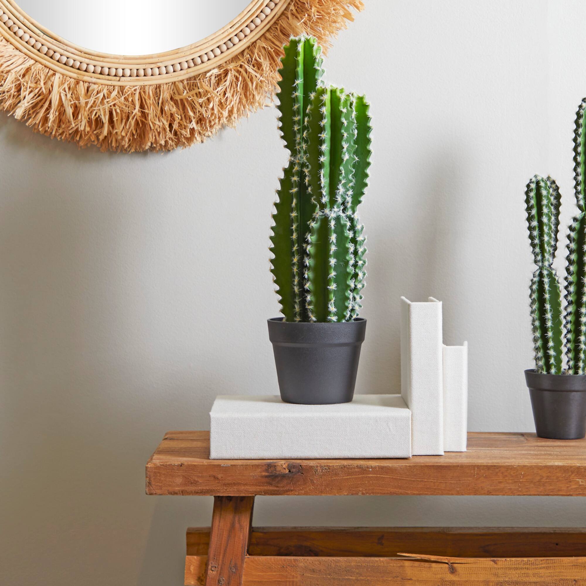2ft. Green Cactus Faux Foliage Artificial Plant with Black Round Pot
